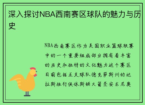 深入探讨NBA西南赛区球队的魅力与历史